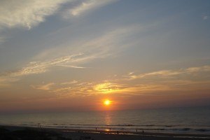 DSC00429