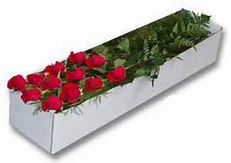 Red Roses